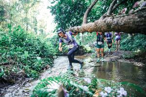 BIB: 
                            <button type="button" onclick="openModal(25447070)" class="btn btn-primary btn-sm float-right btn-popup" data-toggle="modal" data-target=".modal-high-quality">
                        <i class="fas fa-shopping-cart"></i> Add to Cart
                    </button>
                                            <button type="button" onclick="isThisMe(25447070, true)" class="btn btn-success btn-sm float-right btn-popup btn-isme hidden" data-toggle="tooltip" data-placement="bottom" title="นี่คือรูปของคุณใช่ไหม คลิกที่นี่เพื่อเอาเข้าอัลบั้ม">
                        <i class="fas fa-plus"></i> Add to album
                    </button>
                    <button type="button" onclick="isThisMe(25447070, false)" class="btn btn-warning btn-sm float-right btn-popup btn-isnotme hidden">
                        <i class="fas fa-ban"></i> Remove from album
                    </button>